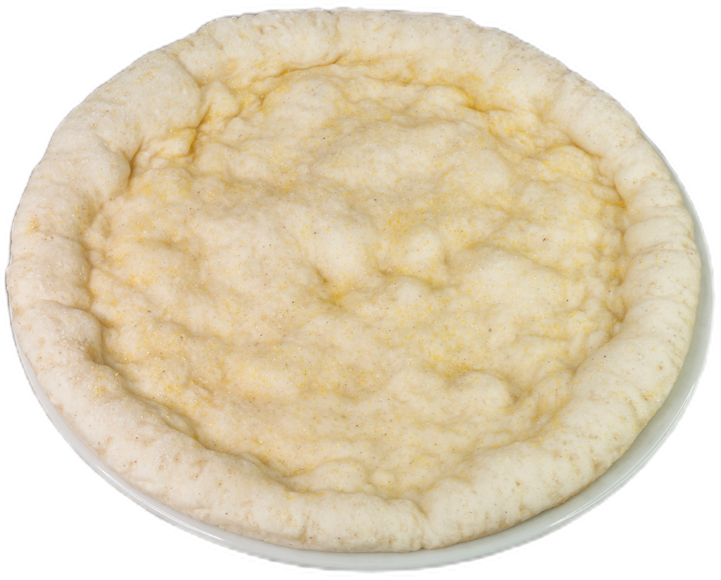 Glutenvrije pizza bodem 30cm(5 stuk)