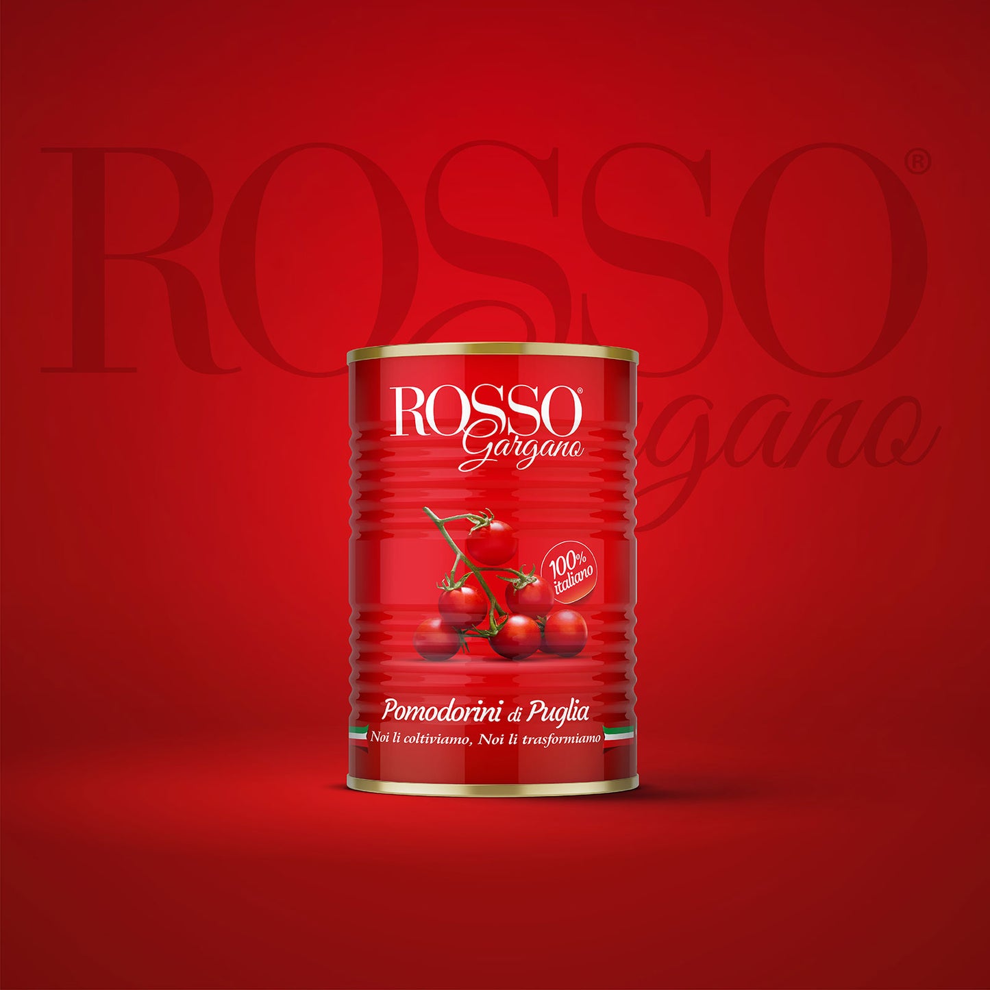 Pomodorini ciliegino di Puglia "Rosso Gargano" 400g